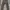 Japanese brand Casual Casual pants Pria brown photo 2