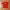 The North Face Sportswear Jersey Pria orange photo 1