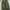 Japanese brand Y2K Jeans Pria green photo 3