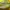 Puma Indie Casual Sneakers Wanita green cream photo 2