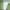 Crocodile Casual Casual shirt Pria cream photo 5