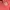 Sportswear Windbreaker Pria red photo 3