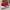 Nike Sportswear Sneakers Pria red photo 1
