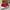 Nike Sportswear Sneakers Pria Red