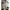 A Bathing Ape Casual T-shirt Wanita tan gray photo 2