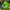 Y2K Casual Hat Kids green black photo 3