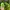 Y2K Casual Hat Kids green black photo 2