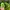 Y2K Casual Hat Kids Green Black