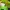Y2K Casual Hat Kids green black photo 5