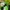 Y2K Casual Hat Kids green black photo 6