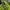 Y2K Casual Hat Kids green black photo 1