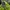 Y2K Casual Hat Kids Green Black