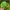 Y2K Casual Hat Kids green black photo 4