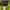 Biker Casual Hat Pria black photo 5