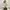 8seconds Fairy Casual Gilet Wanita tan brown photo 2