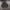 Vintage Sweater Pria gray photo 1