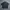 Minimalist Casual Formal shirt Pria green photo 2