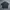Minimalist Casual Formal Shirt Pria Green