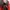 Adidas Sportswear Casual Sneakers Pria red photo 6