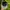 Adidas Sportswear Casual Hat Pria black photo 7