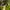 Adidas Sportswear Casual Hat Pria black photo 3