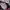 Anti Social Social Club Streetwear Futurist T-shirt Pria pink black photo 4