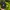 Adidas Sportswear Casual Hat Pria black photo 2