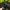 Adidas Sportswear Casual Hat Pria black photo 7