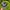 Nike Sportswear Casual Hat Kids gray photo 4