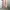 Japanese brand Streetwear Minimalist Jeans Pria pink photo 2