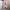 Japanese brand Streetwear Minimalist Jeans Pria pink photo 1