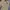 Gramicci Casual Casual pants Pria cream photo 2