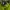 Streetwear Casual Hat Pria green black photo 1