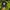 Streetwear Casual Hat Pria green black photo 2