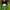 Streetwear Casual Hat Pria green black photo 4