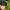 Streetwear Casual Hat Pria green black photo 3