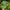 Vintage Streetwear Hat Pria green photo 2