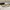 Guy Laroche Vintage Casual Sunglass Pria Brown