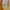 Japanese brand Streetwear Y2K Casual pants Pria tan photo 4