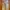 Japanese brand Streetwear Y2K Casual pants Pria tan photo 5