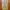 Japanese brand Streetwear Y2K Casual pants Pria tan photo 2