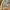 Japanese brand Streetwear Y2K Casual pants Pria tan photo 6