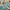 Pancoat Windbreaker Kids multicolor photo 4