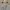 Pancoat Windbreaker Kids multicolor photo 8