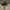 Converse Vintage Streetwear Sneakers Pria white black photo 1
