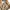 Hugo Boss Casual Short Pria khaki photo 3