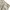 Hugo Boss Casual Short Pria khaki photo 4