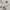 Adidas Y2K Sportswear Jersey Pria white photo 3