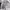 Nike Sportswear Windbreaker Pria white photo 4