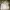 Vintage Casual Harrington jacket Pria white gray photo 1
